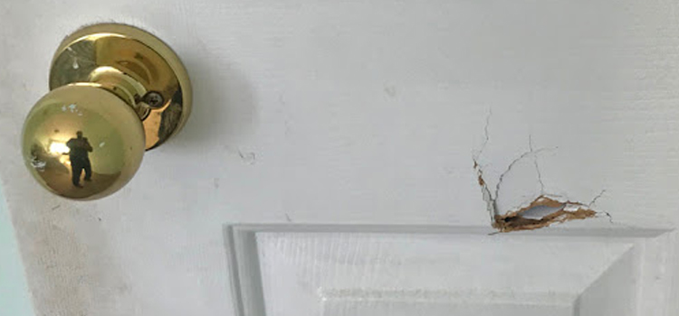 interior door hole repair Capitola
