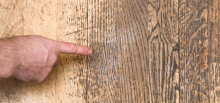 Wood Door Scratch Repair in Capitola